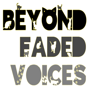 BEYOND FADED VOICES